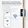 Frizzlife LP365 Ultrasonic Whole-Home Smart Water Monitor with Automatic Shutoff