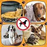 Kigley Oversized Non-Electric Pet Deterrent Furniture Mat, Neutral Khaki