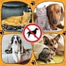 Kigley Oversized Non-Electric Pet Deterrent Furniture Mat, Neutral Khaki