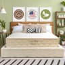 Cotton Sleep All Natural 11-Inch Organic Cotton and Wool Hybrid Mattress