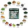 Clean Nutraceuticals Lymph Drain Capsules with Ashwagandha & Black Seed Oil