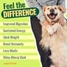 Azestfor Complete Homemade Dog Food Vitamins Pre-Mix Powder for Raw & BARF Diets