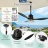 Amico 42-Inch IP65 Waterproof Plug-In Ceiling Fan with Reversible DC Motor