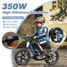 Blissskip 16-Inch Lightweight Electric Dirt Bike with 340W High-Performance Motor