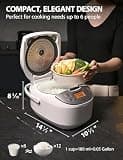 Toshiba Fuzzy Logic Rice Cooker with Dual Delay Timers and Keep Warm Function, 6-Cup