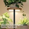Homsorout 4-Tier Heavy-Duty Metal Indoor Plant Rack with Adjustable Grow Light