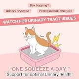 Doctor By UT Care Cat UTI & Kidney Support Lickable Urinary Supplement