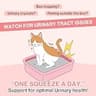Doctor By UT Care Cat UTI & Kidney Support Lickable Urinary Supplement