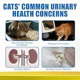 Just Try 300-Count Urinary Tract Health Soft Bites for Cats with Cranberry