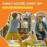 QDAN 6-Inch Interactive Dog Soccer Ball with Durable Nylon Grip Straps