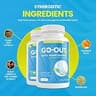 Go Out Daily Maintenance Natural Uric Acid Support Vegetarian Supplement
