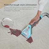 Shark StainStriker HairPro Portable Carpet, Upholstery & Rug Cleaner PX251