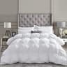 Luxurious Oversize Palatial King 100% Goose Down Comforter Insert, 80oz Fill