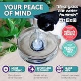 Brook Glass Pet Water Fountain with Dishwasher Safe Components, 2.7L Capacity