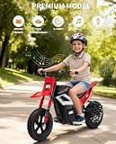 Garvee 24V 350W Electric Off-Road Dirt Bike with 12-Inch Pneumatic Rubber Tires