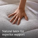 Awara Natural Hybrid 10-Inch Organic Latex and New Zealand Wool Mattress