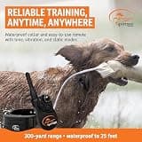 SportDOG YardTrainer 300 Submersible E-Collar with 300-Yard Remote Range
