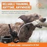SportDOG YardTrainer 300 Submersible E-Collar with 300-Yard Remote Range