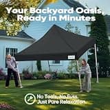 Quictent 10x10 Heavy Duty Commercial Grade Pop Up Canopy with Hexagonal Legs