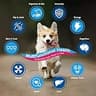 Nature Target Complete Homemade Dog Food Vitamin Powder with Probiotics & Glucosamine