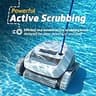 Dolphin E10 Automatic Corded Robotic Pool Vacuum Cleaner for Above Ground Pools