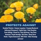 BioAdvanced 3-In-1 Weed and Feed Granular Fertilizer Treatment for Southern Lawns