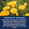 BioAdvanced 3-In-1 Weed and Feed Granular Fertilizer Treatment for Southern Lawns