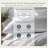 California Design Den 500 Thread Count Damask Stripe 100% Cotton Queen Sheet Set