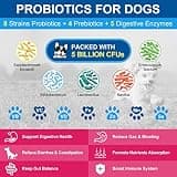 Nature Target Complete Homemade Dog Food Vitamin Powder with Probiotics & Glucosamine