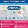 Nature Target Complete Homemade Dog Food Vitamin Powder with Probiotics & Glucosamine