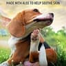 Pet MD Topical Cleansing Wipes with 2% Chlorhexidine & 1% Ketoconazole