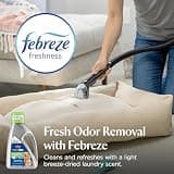 Bissell Pet Pro OXY Urine Eliminator Upright Machine Carpet Deep Clean Solution