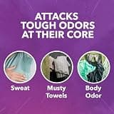 OxiClean Odor Blasters Versatile Odor and Laundry Stain Remover Powder, 5 lbs