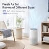 Afloia 3-Stage True HEPA Air Purifier and Odor Eliminator with Night Light