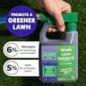 Simple Lawn Solutions Lawn Energizer Liquid Fertilizer Spray for Deeper Green Turf
