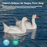 Pacific Coast King Extra Fluffy Feather & Down Fiber Comforter, Baffle Box