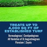 BioAdvanced 3-In-1 Weed and Feed Granular Fertilizer Treatment for Southern Lawns