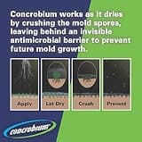 Concrobium Mold Control Liquid, 1 Gallon Jug for Damp Basement Remediation