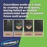 Concrobium Mold Control Liquid, 1 Gallon Jug for Damp Basement Remediation