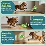 GUKCO Interactive Motorized Plush Turtle Dog Toy with Voice Recording Mode