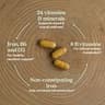 New Chapter Postnatal Lactation Multivitamin with Fermented Superfoods