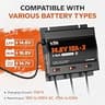 LiTime 30A 3-Bank Smart Marine Battery Charger with Low Voltage Recovery
