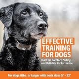 SportDOG YardTrainer 300 Submersible E-Collar with 300-Yard Remote Range