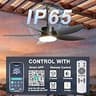 Phylluz 42-Inch Smart Plug-In Outdoor Ceiling Fan with 4600 CFM and App Control