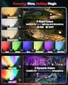 Sunyardlux Monocular RGB+3CCT Solar Tree Spotlights, Multi-Color LEDs (8-Pack)