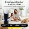 LabCharge Small Filterless Plug-In Ionic Air Purifier for Home and Bedroom 5-Pack