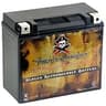 Pirate Battery YTX20HL-BS Maintenance-Free 12V 19Ah AGM Marine Battery