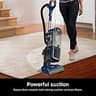 Shark NV151 Navigator Swivel Pro Complete Upright Vacuum with Pet Power Brush