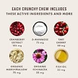 Rocco & Roxie Cat Urinary Tract Health Supplement Chews with Cranberry