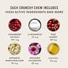 Rocco & Roxie Cat Urinary Tract Health Supplement Chews with Cranberry